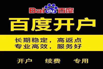 SEM竞价案例：提升搜索引擎排名